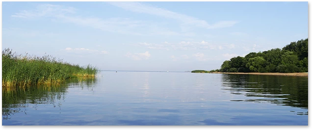 jezioro, drzewa